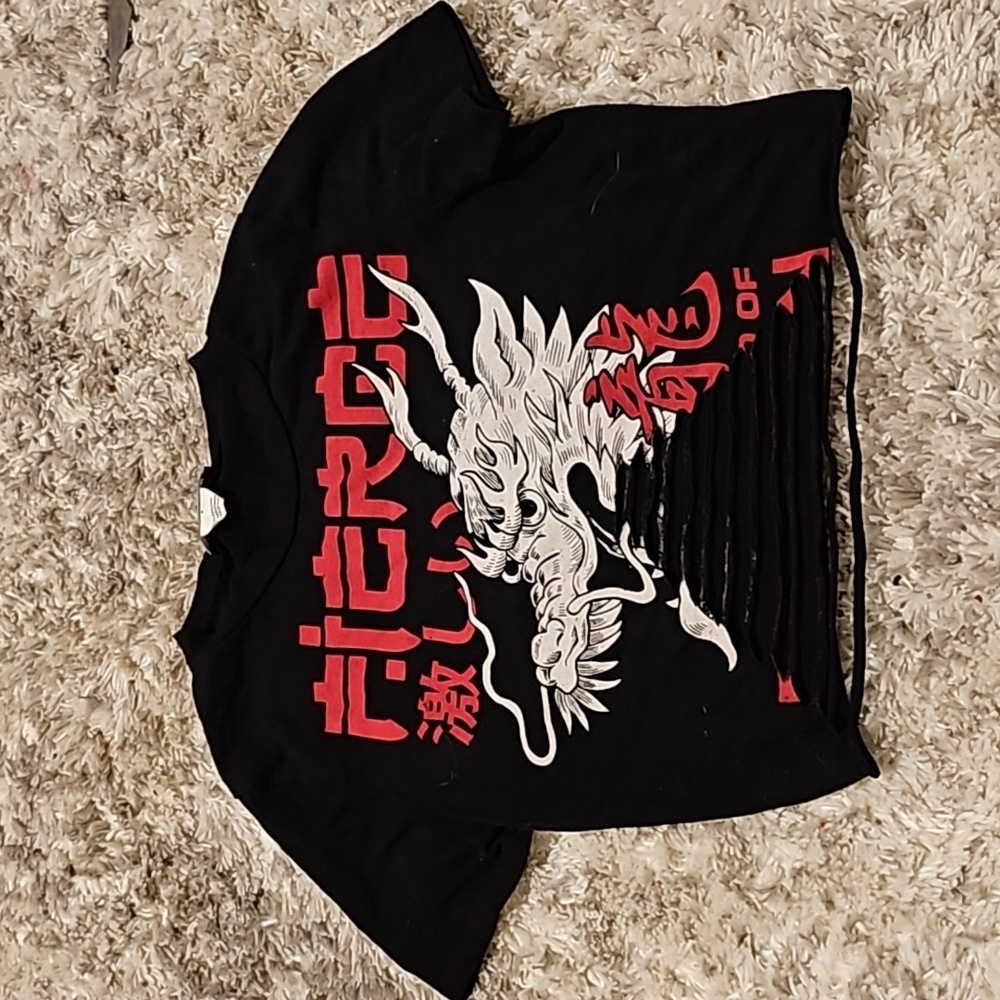 Fashion Nova Dragon Crop Top